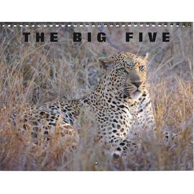 The Big Five 2027 Calendar