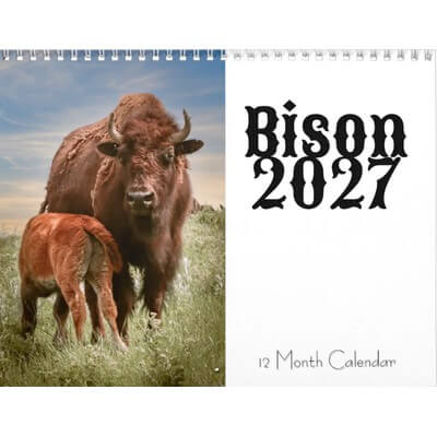 Bison 2027 12 Month Calendar