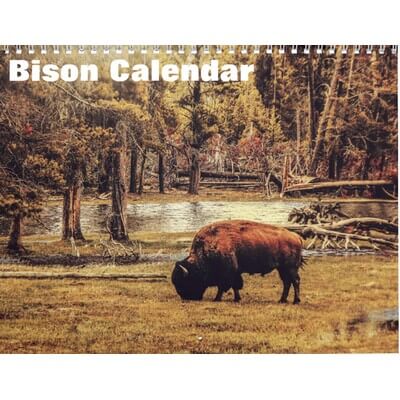 Bison 2027 Calendar