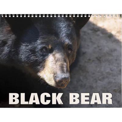 Black Bears 2027 Wall Calendar
