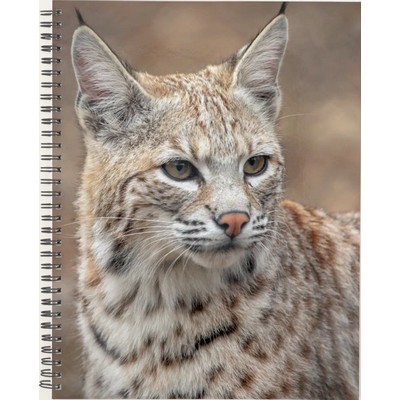 Bobcats 2027 Planner