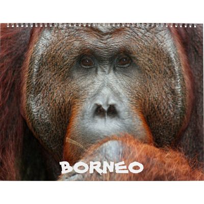 Borneo Rainforest 2027 Wall Calendar