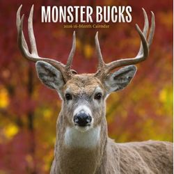 Monster Bucks 2026 Calendar