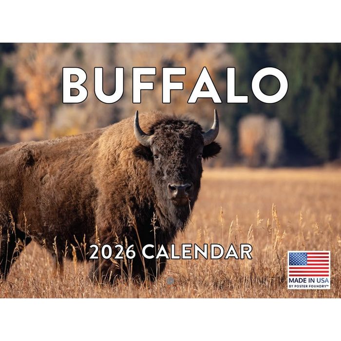 Buffalo 2026 Calendar