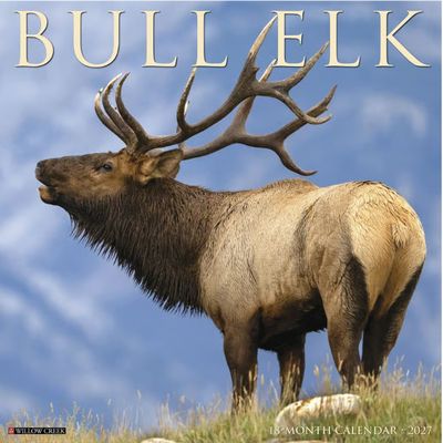 Bull Elk 2027 Calendar