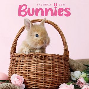 2026 Bunnies Mini Wall Calendar