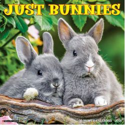 Bunnies 2026 Wall Calendar
