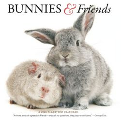 Bunnies and Friends 2026 Wall Calendar