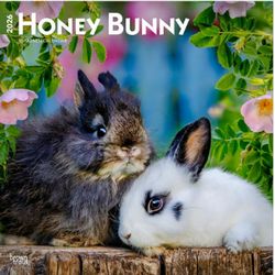 Honey Bunny 2026 Wall Calendar