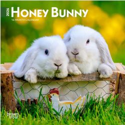 Honey Bunny 2026 Mini Wall Calendar