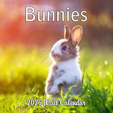 Bunnies 2026 Calendar