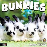 Bunnies 2026 Calendar