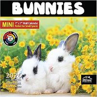 Bunnies 2026 Calendar