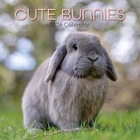 Bunnies 2026 Calendar