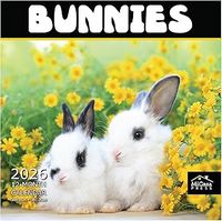 Bunnies 2026 Calendar