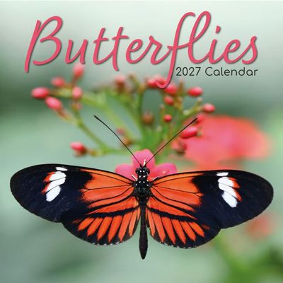 Butterflies 2027 Wall Calendar