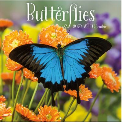 Butterflies Photo 2027 Wall Calendar