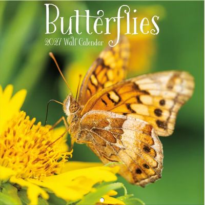 Butterflies 2027 Mini Wall Calendar