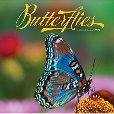 Butterflies 2027 Wall Calendar