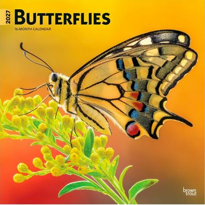 Butterflies 2027 Wall Calendar