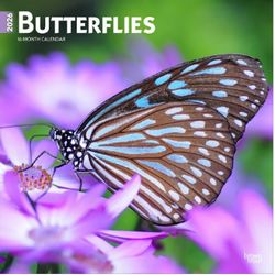 Butterflies 2026 Wall Calendar
