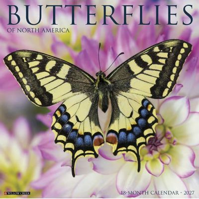 Butterflies 2027 Wall Calendar