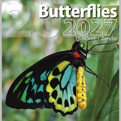 Butterflies 2027 Wall Calendar