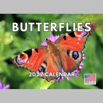 Butterflies 2027 Wall Calendar
