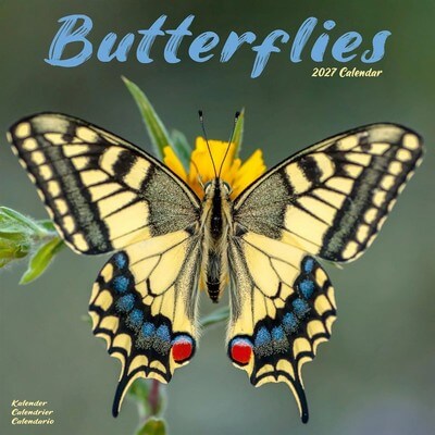 Butterflies 2027 Wall Calendar