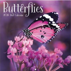 Butterflies 2026 Mini Wall Calendar