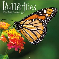 Butterflies 2026 Wall calendar