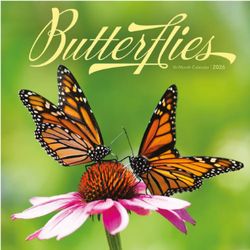 Butterflies 2026 Wall Calendar