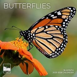 Butterflies 2026 Calendar