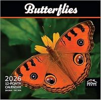 Butterflies 2026 Wall Calendar