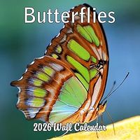 Butterflies 2026 Wall Calendar