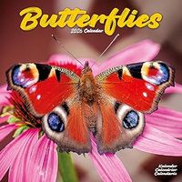 Butterflies 2026 Wall Calendar