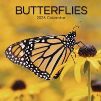 Butterflies 2026 Wall Calendar