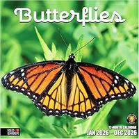 Butterflies 2026 Wall Calendar