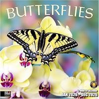 Butterflies 2026 Wall Calendar