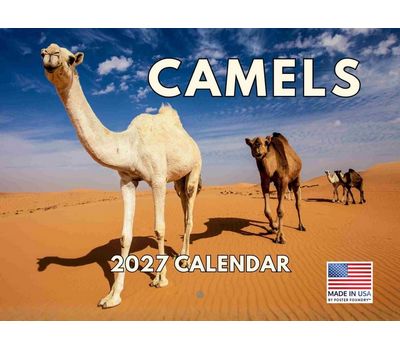 Camels 2027 Wall Calendar