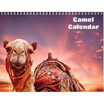 Camels 2027 Wall Calendar