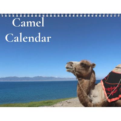 Camels 2027 Wall Calendar