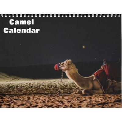 Camels 2027 Wall Calendar