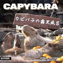 Capybaras 2026 Wall Calendar