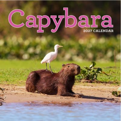 Capybaras 2027 Wall Calendar