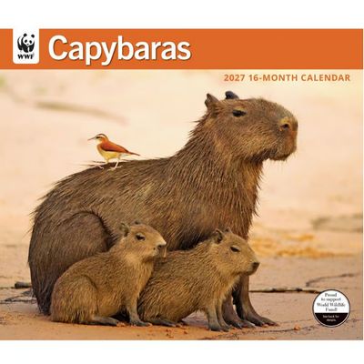 WWF Capybaras 2027 Wall Calendar