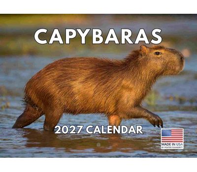 Capybaras 2027 Wall Calendar