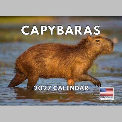 Capybaras 2027 Wall Calendar
