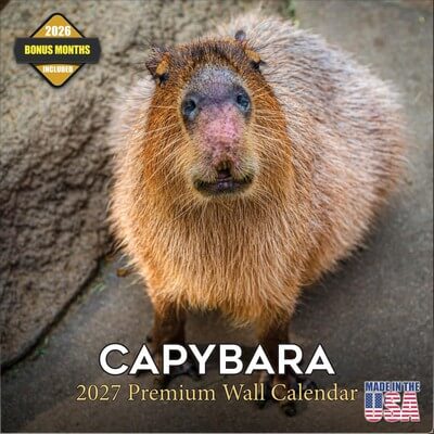Capybaras 2027 Wall Calendar