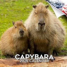 Capybaras 2026 Wall Calendar